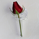 Suction cup with Acrylic Flower Vase