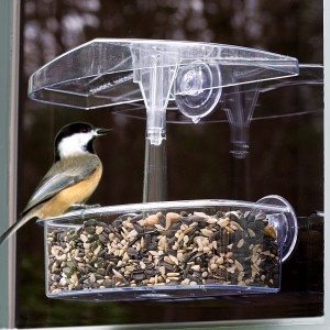 obsever window feeder with suction cups