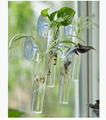 suction cup for vase